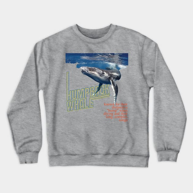 Alaska Whale Watching Crewneck Sweatshirt by TeeText